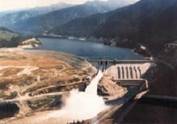 Dam Project